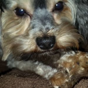 Meet your Posher, Sharon